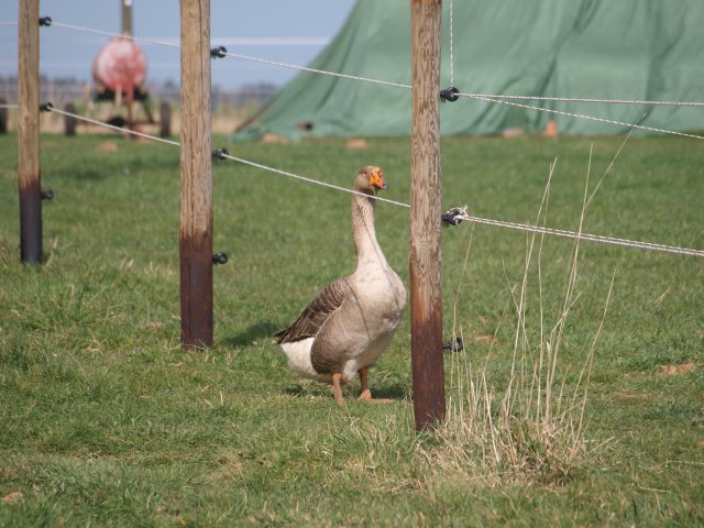 P3300198