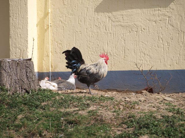 P3300037
